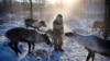 Russia -- photo for feature on people who work outside through winter in Yakutsk. February 2, 2018. 